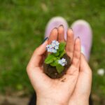 sustentabiliada e negócios